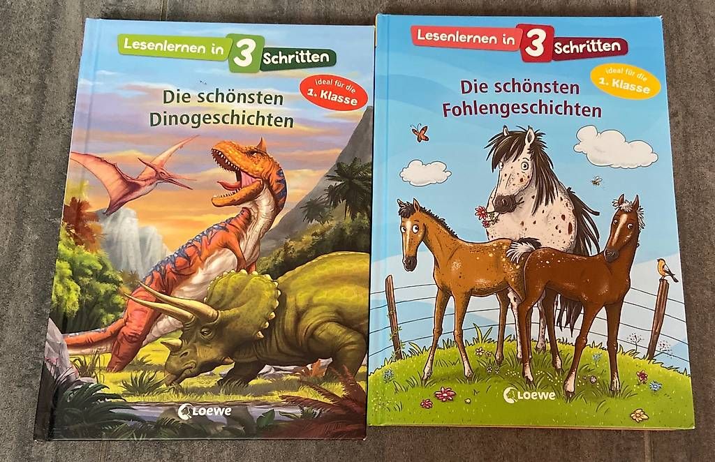 Libri: Bücher Lesenlernen in 3 Schritten – Usato da Flerden venduto da elali
