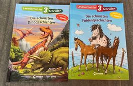Bücher Lesenlernen in 3 Schritten