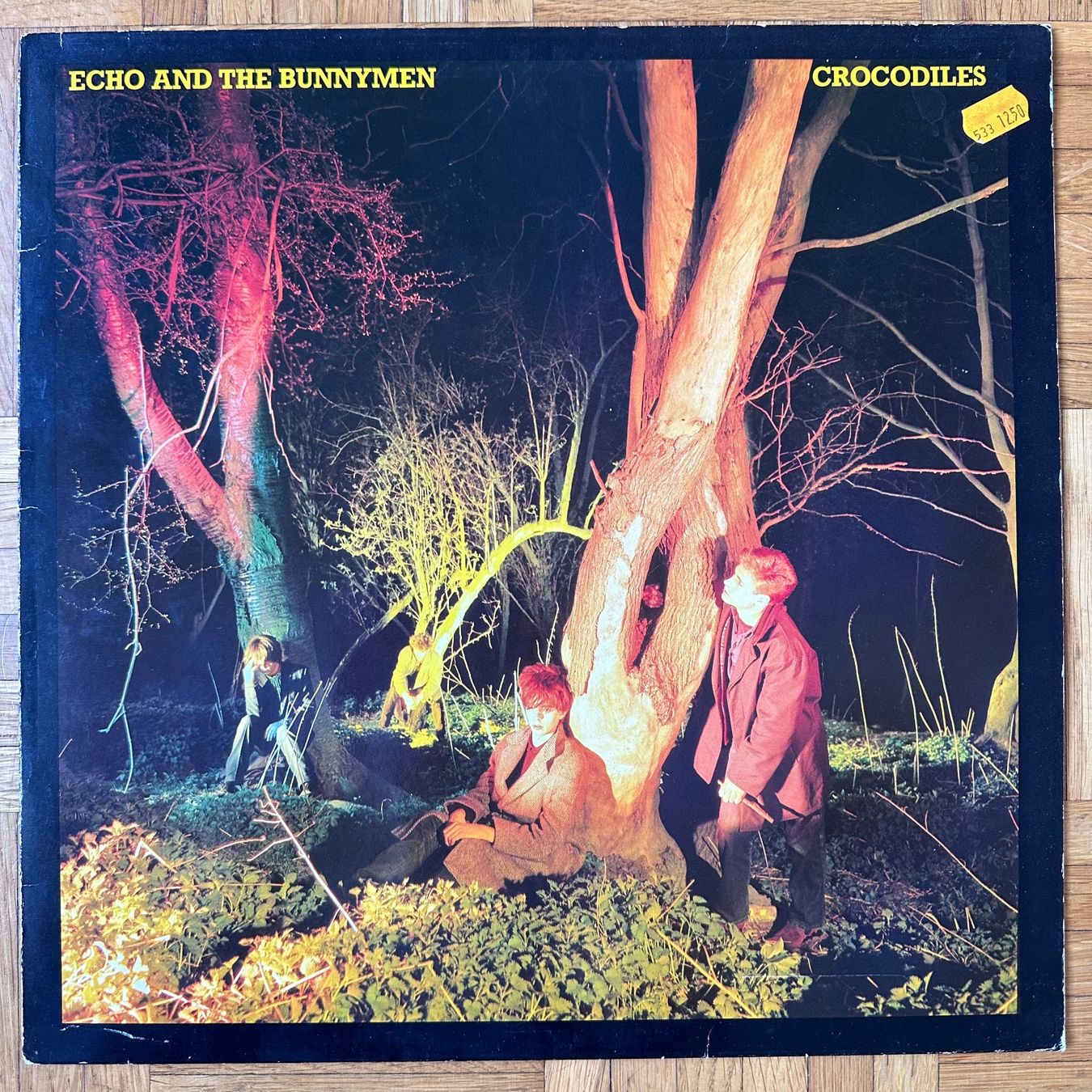 Vinyles: LP - Echo And The Bunnymen - Crocodiles – D'occasion à Breganzona par Onairda75
