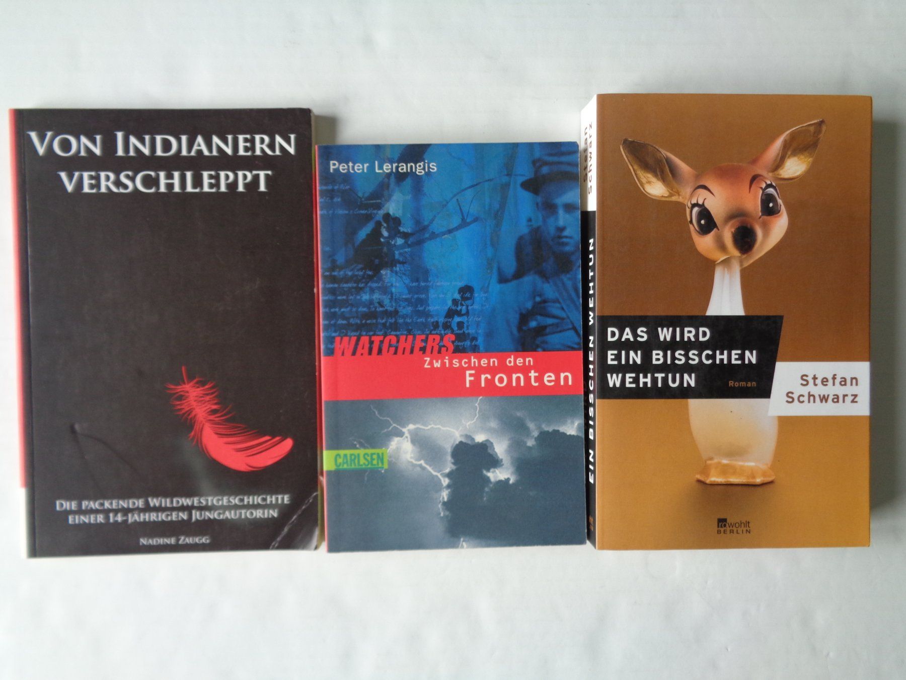 Bücher: 11 Bücher – Romane - Konvolut – Gebraucht aus Chur von omonia 5