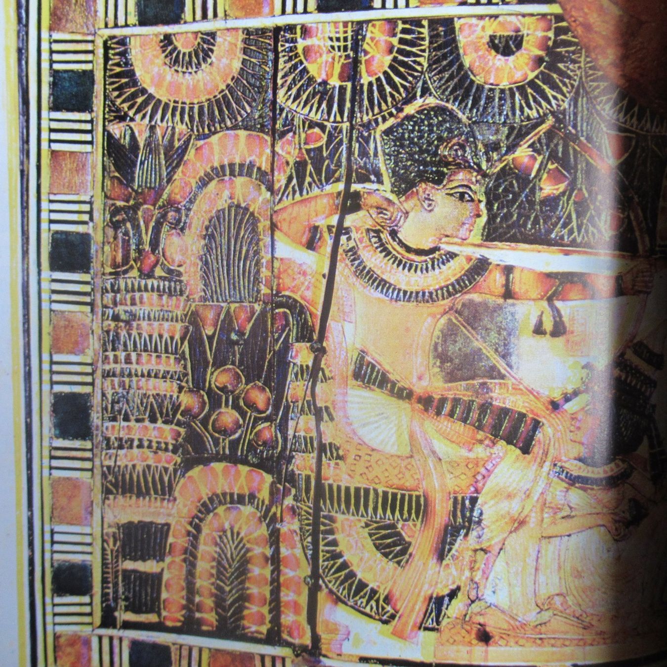 Libri: TUTANCHAMUN – Usato da Moosseedorf venduto da haro01 9