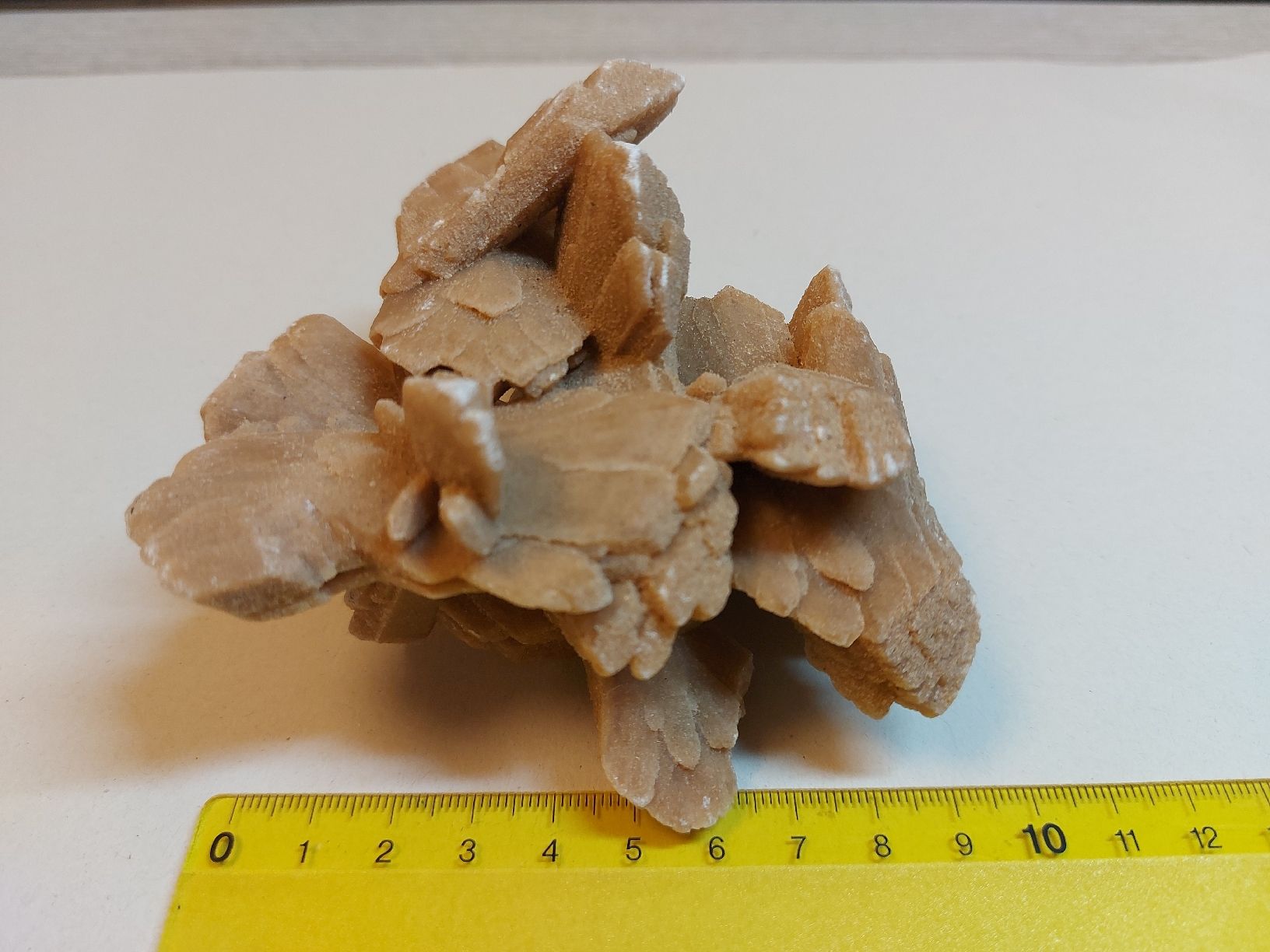 Mineralien & Heilsteine: Wüstenrose aus Tunesien – Gebraucht aus Bern von Bernaro 3