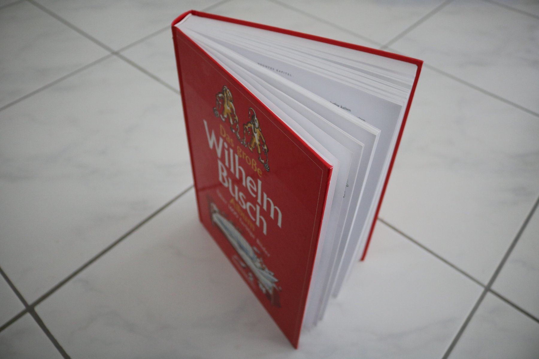 Bücher: Das grosse Wilhelm Busch Album Buch Märchen – Neu (gemäss Beschreibung) aus Rickenbach b. Wil von Byby7 2