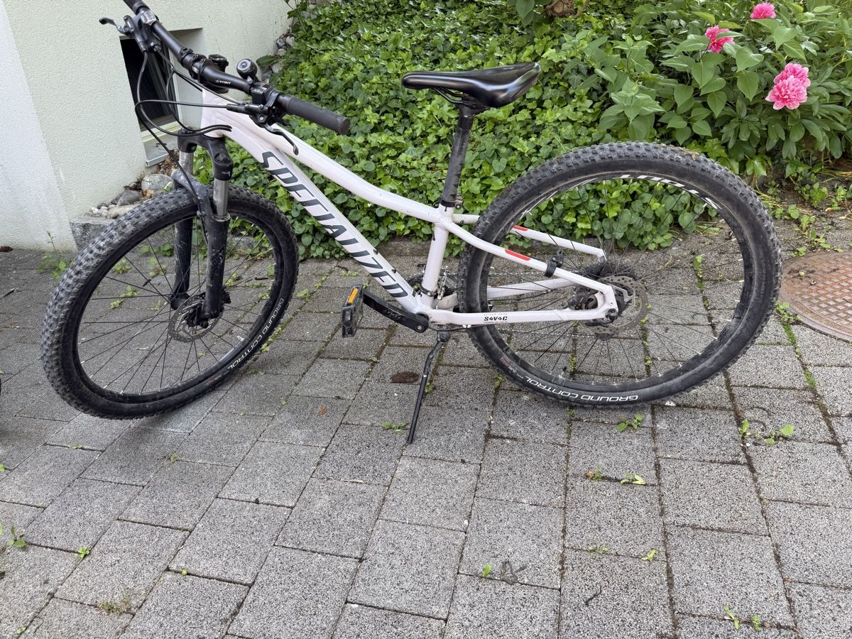 Specialized Biciclette: Mountainbike  – Usato da Kaufdorf venduto da nadine_bufe