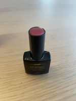 Jolfin Laveni Shellac