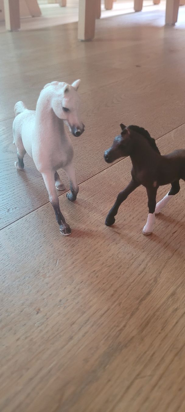 Schleich Giocattoli: Schleich Pferde Set – Usato da Mühlrüti venduto da yllen88 2