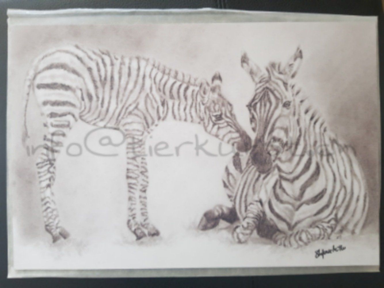 Foto & Immagini: Kunstdruck Zebra mit Fohlen – Nuovo (secondo la descrizione) da Richenthal venduto da Mikesh01