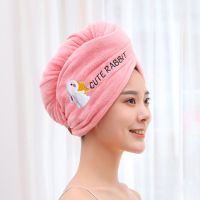 📌 NEU Microfaser Handtuch für Frauen – Haar & Badetuch