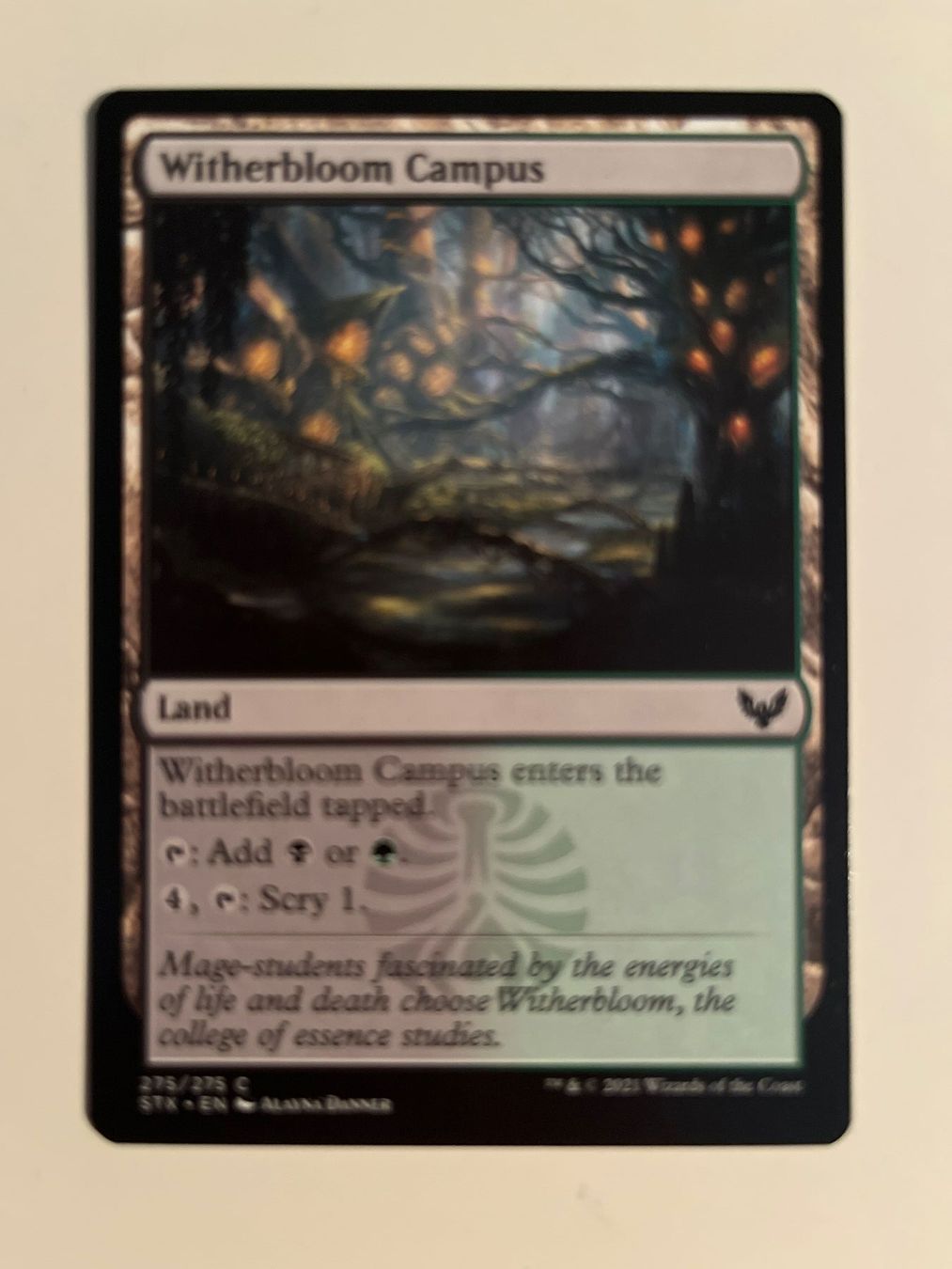 Magic The Gathering Carte collezionabili: 1 x Witherbloom Campus - Magic: The Gathering - MtG – Usato da Kriens venduto da Shadi1980