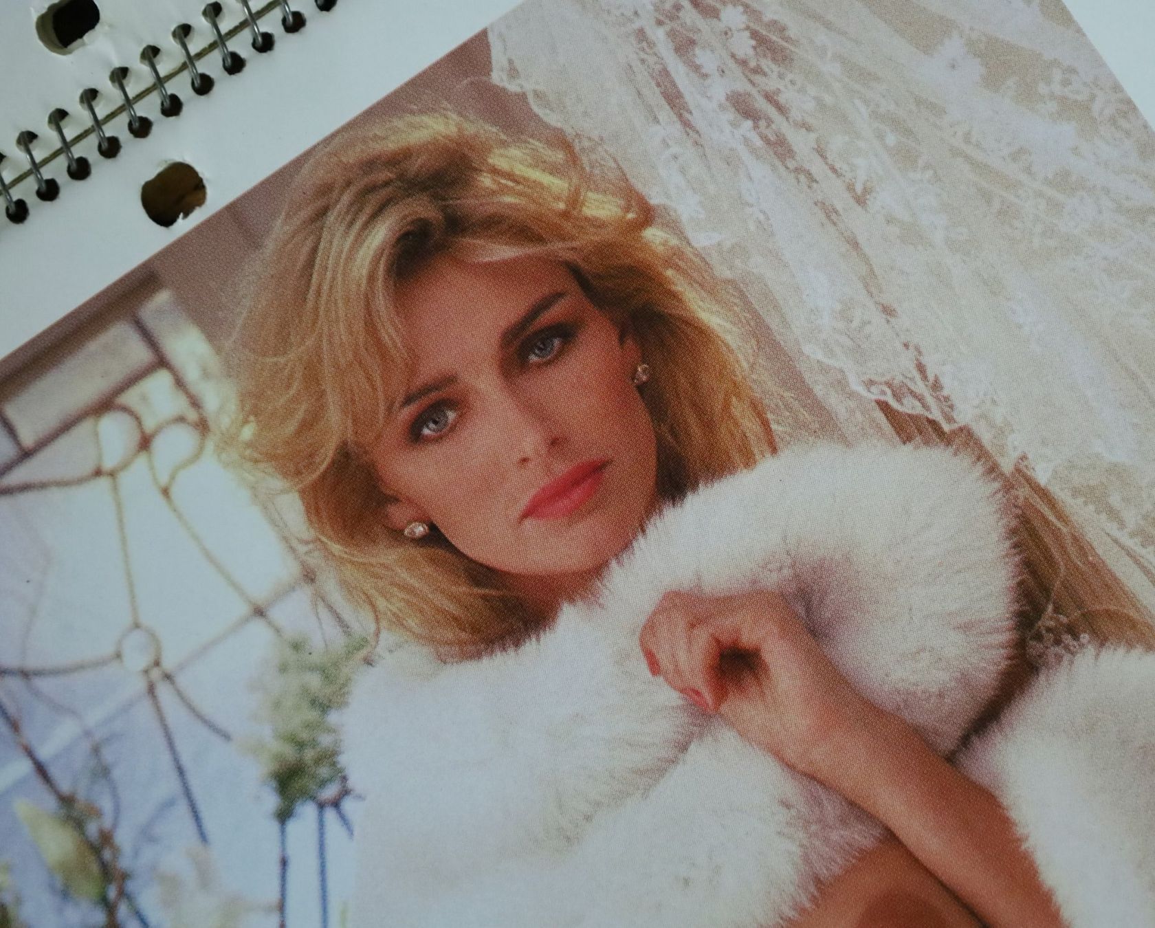 Playboy Calendari: PLAYBOY Kalender 1990 mit Erika Eleniak – Usato da Birrwil venduto da brandschatz_birrwil 8