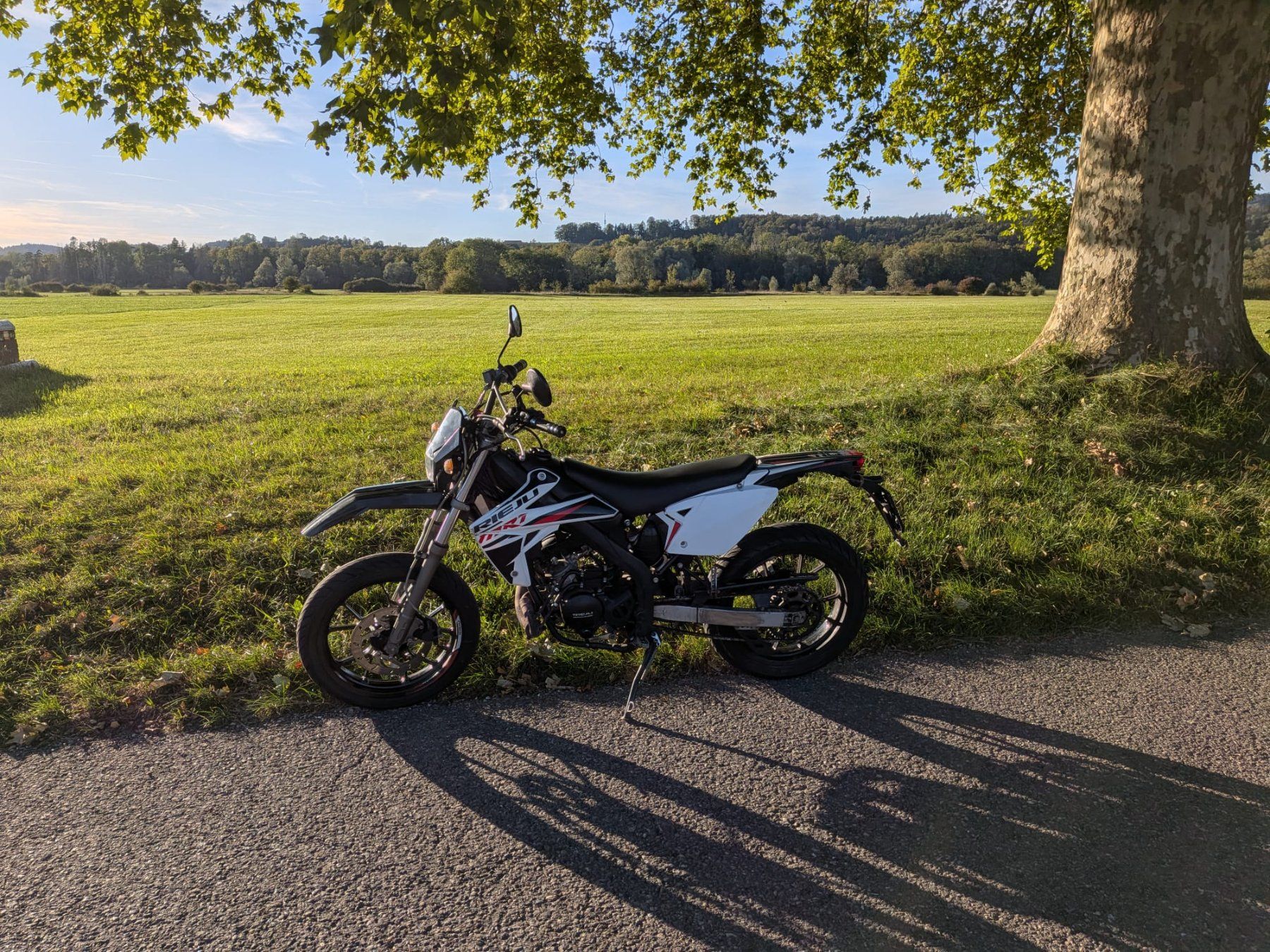 Rieju Strada: Rieju MRT 50 – Usato da Frauenfeld venduto da Mona760 1