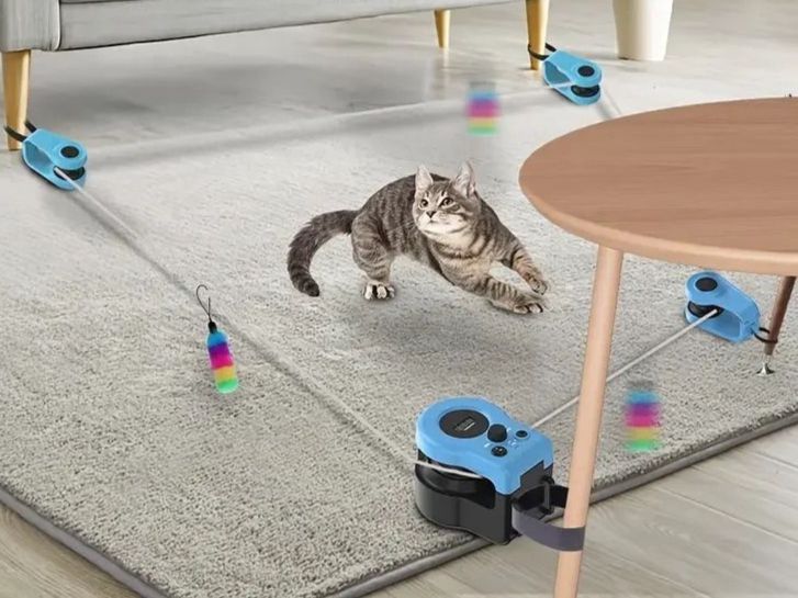 Giocattoli: Pet Cat Chasing Toy – Nuovo e nell'imballaggio originale da Lausanne venduto da oenix 3