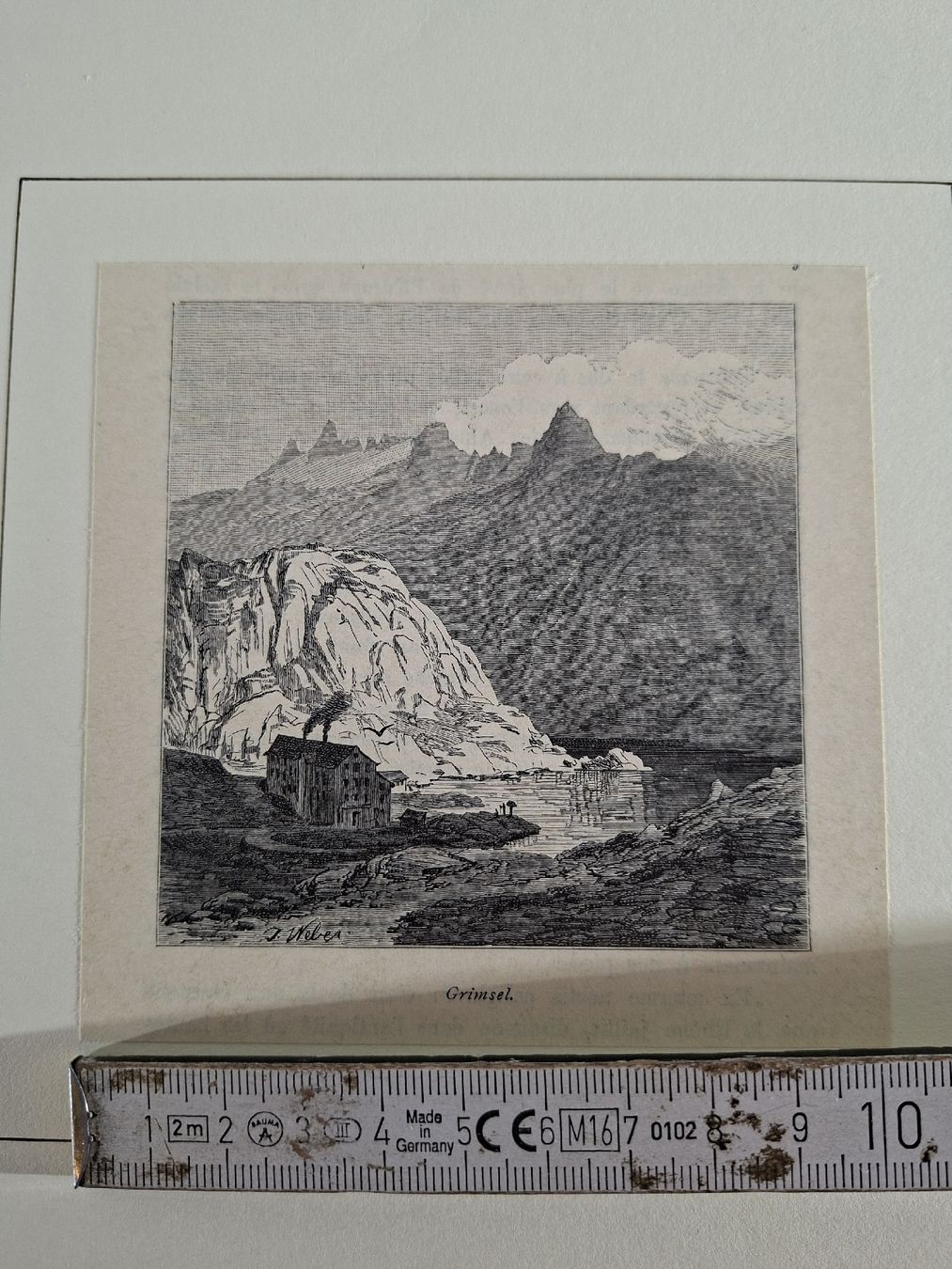 Incisioni: Lot 41 , 5 Stiche  – Usato da Grindelwald venduto da carro5 3