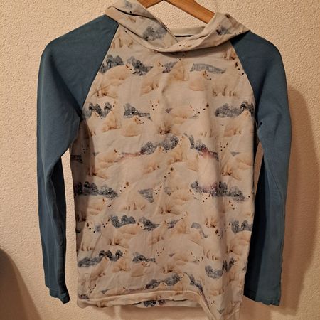 dünner Kapuzenpullover