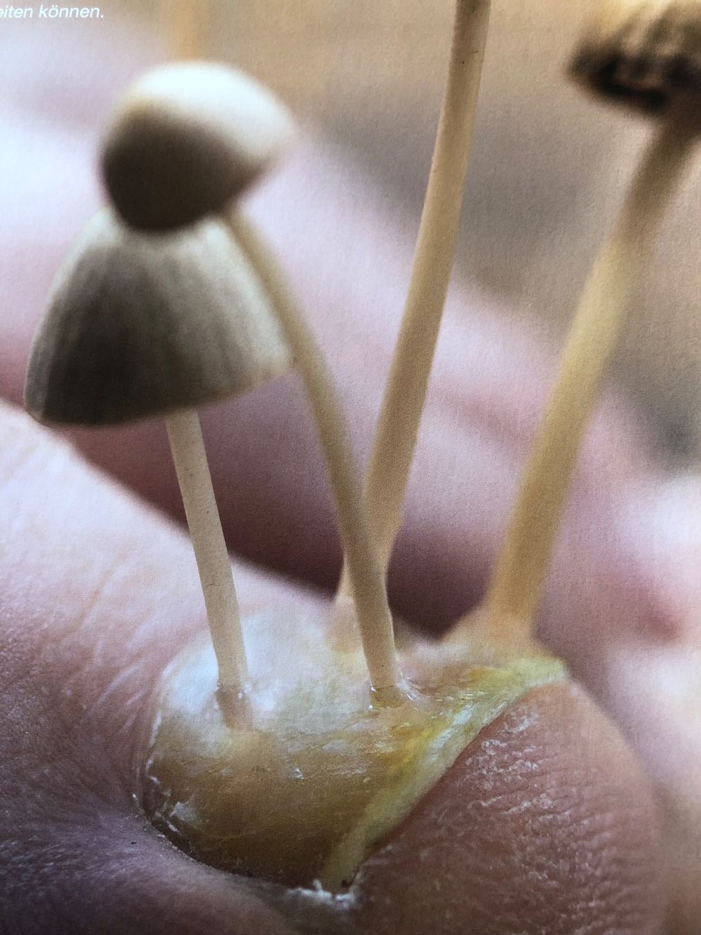 Pédicure: Nagelpilz Spray – Neuf avec emballage d'origine à Nottwil par Frontal 3