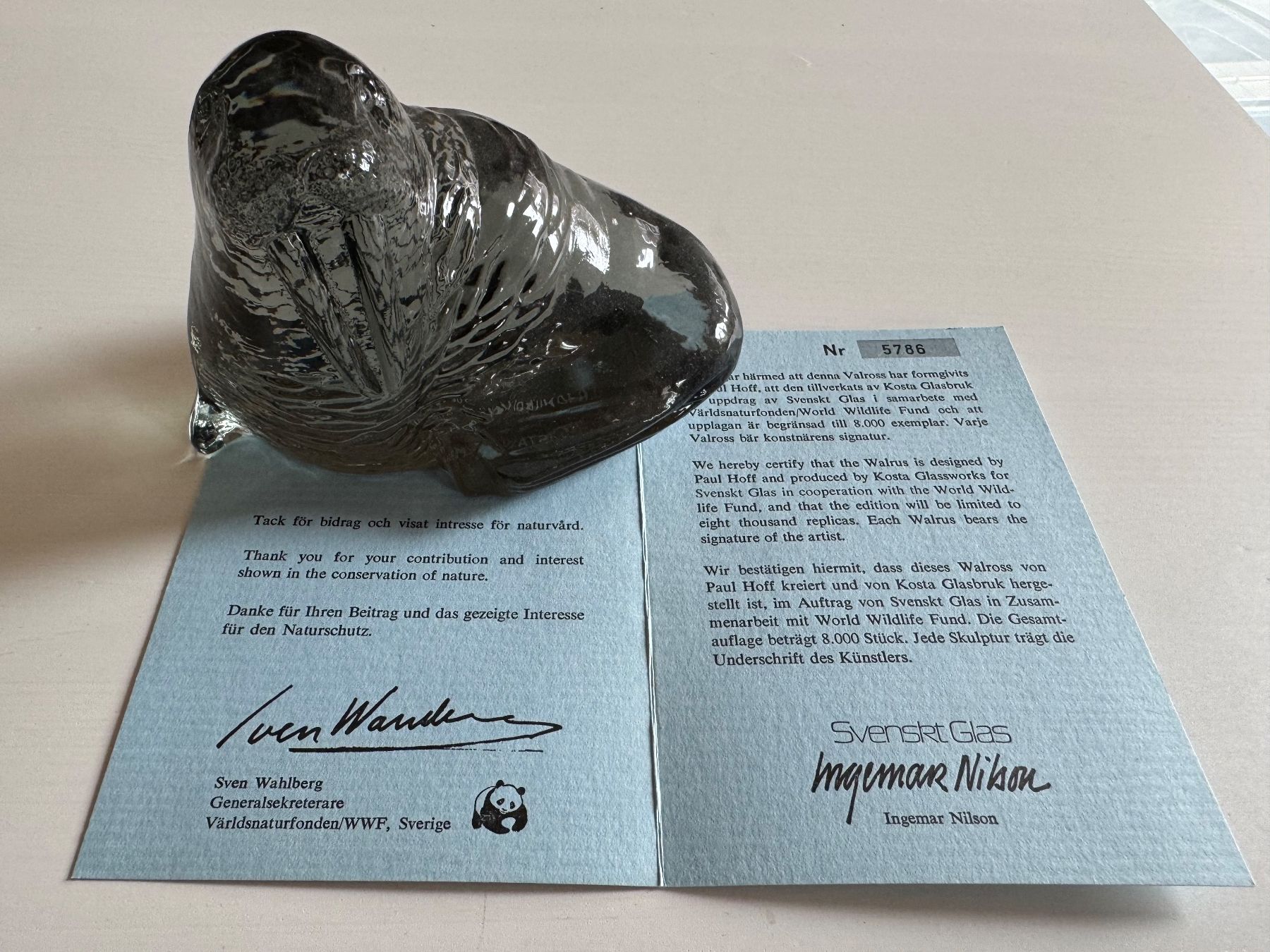 Kosta Boda Statuette: Walross WWF Nr. 5789 – Usato da golaten venduto da Hubas 1