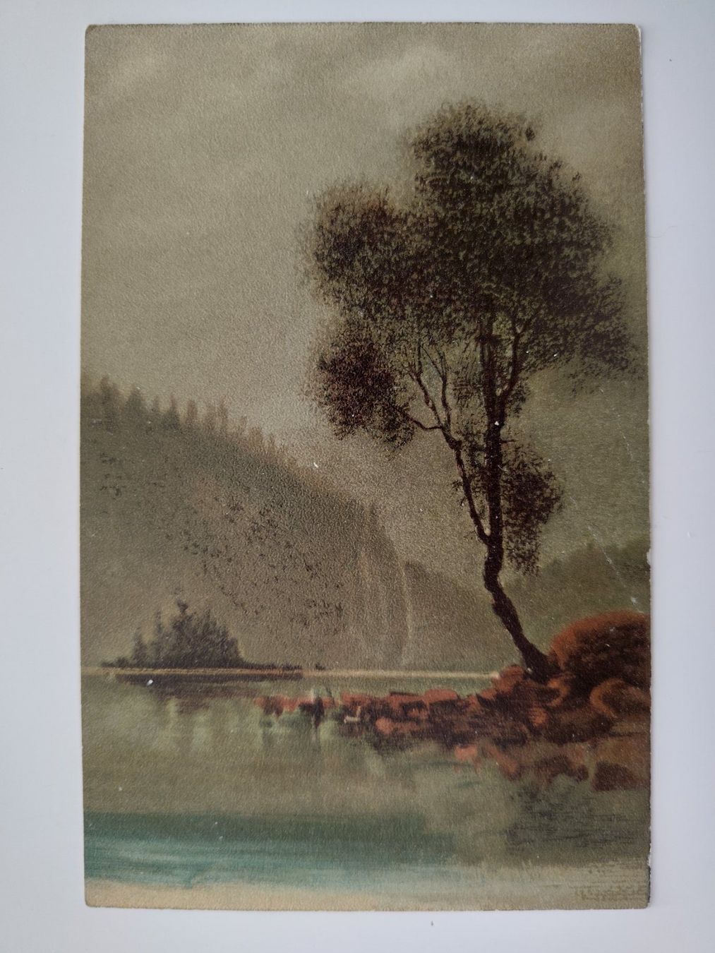 Cartoline postali: Buttes  dat.  1906 See mit Baum, Stimmungspostkarte? – Usato da Ohmstal venduto da Lebensfreude05
