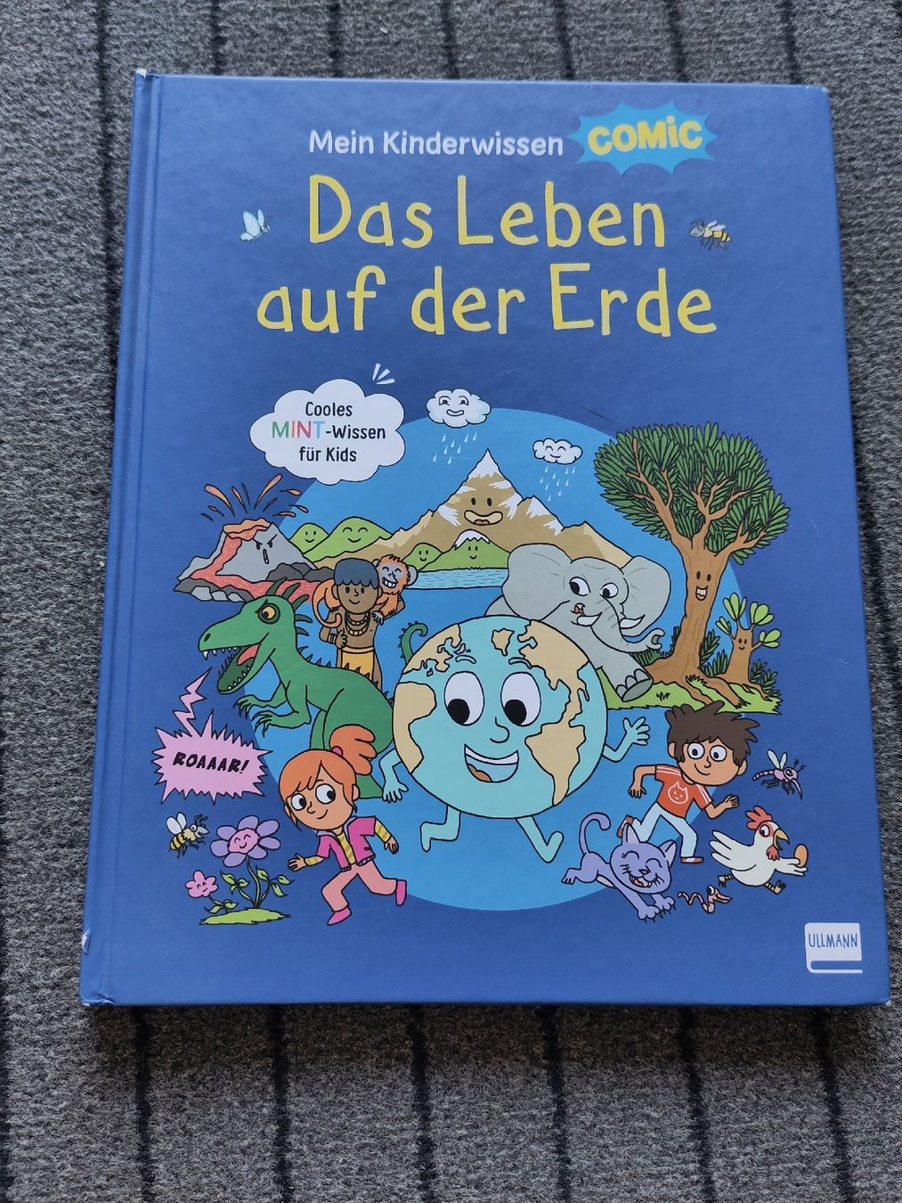 Libri: informativer Comic zum Erdgeschehen für Schulkinder  – Usato da Dettighofen Lengw. venduto da mai_75wt