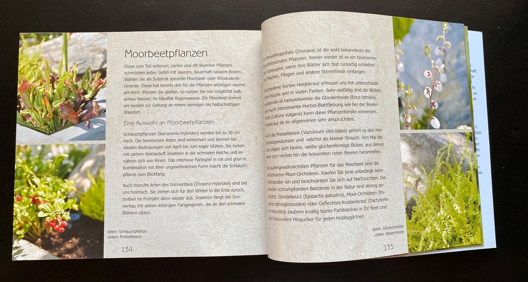 Libri: Kleine Wasserwelten – Usato da Nussbaumen AG venduto da schuba2000 7