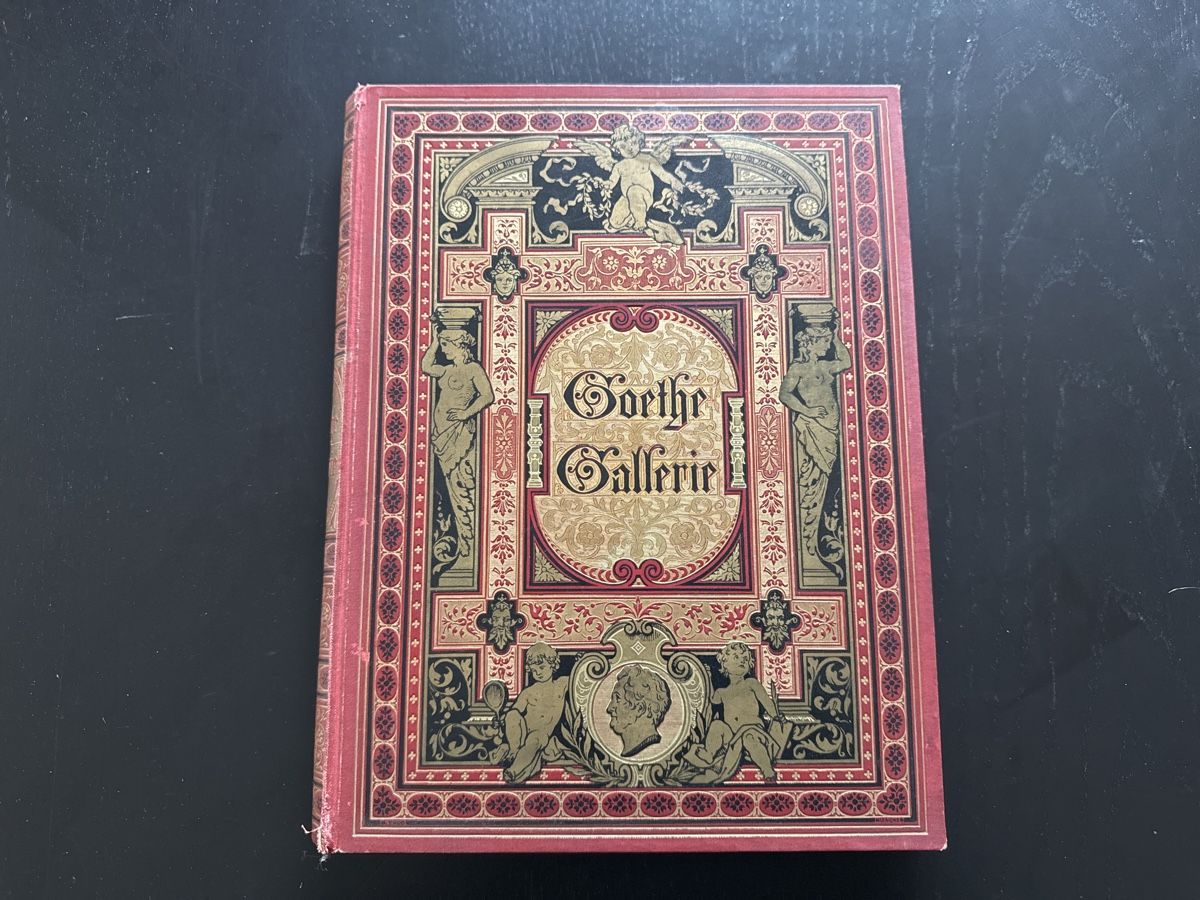 Libri: Goethe-Gallerie – Usato da Erstfeld venduto da Uhu1980