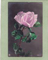 Kitsch Rose 1931