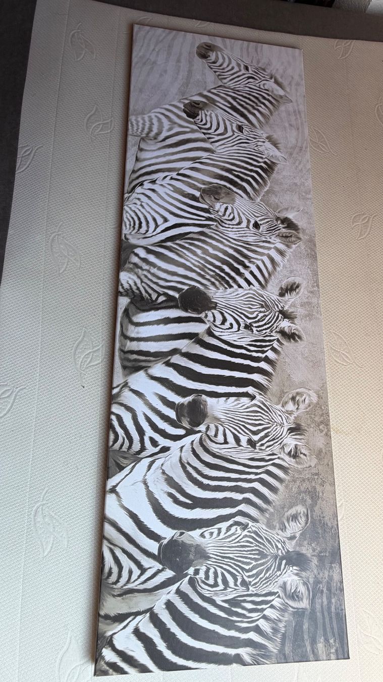 Posters & Illustrations: Leinwandbild Zebras – Neuf (Voir description) à Wohlen AG par eduard.jung 2