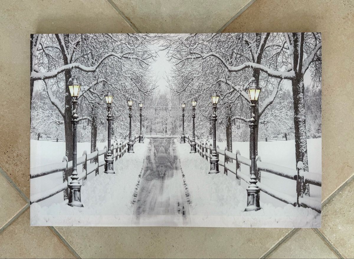 Foto & Immagini: Bild Winter mit Lichtern und Timer 60x40 cm – Usato da Inwil venduto da TheSwissEagle