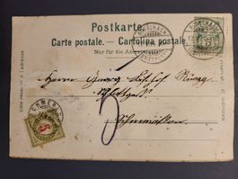 1904, Interessante Postkarte mit 2 Edelweiß