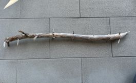 Aussergewöhnlicher Schwemmholz Ast 115 cm Länge