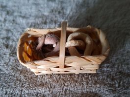Heue gibt es frische Bretzel im Puppenhaus, Kaufladen