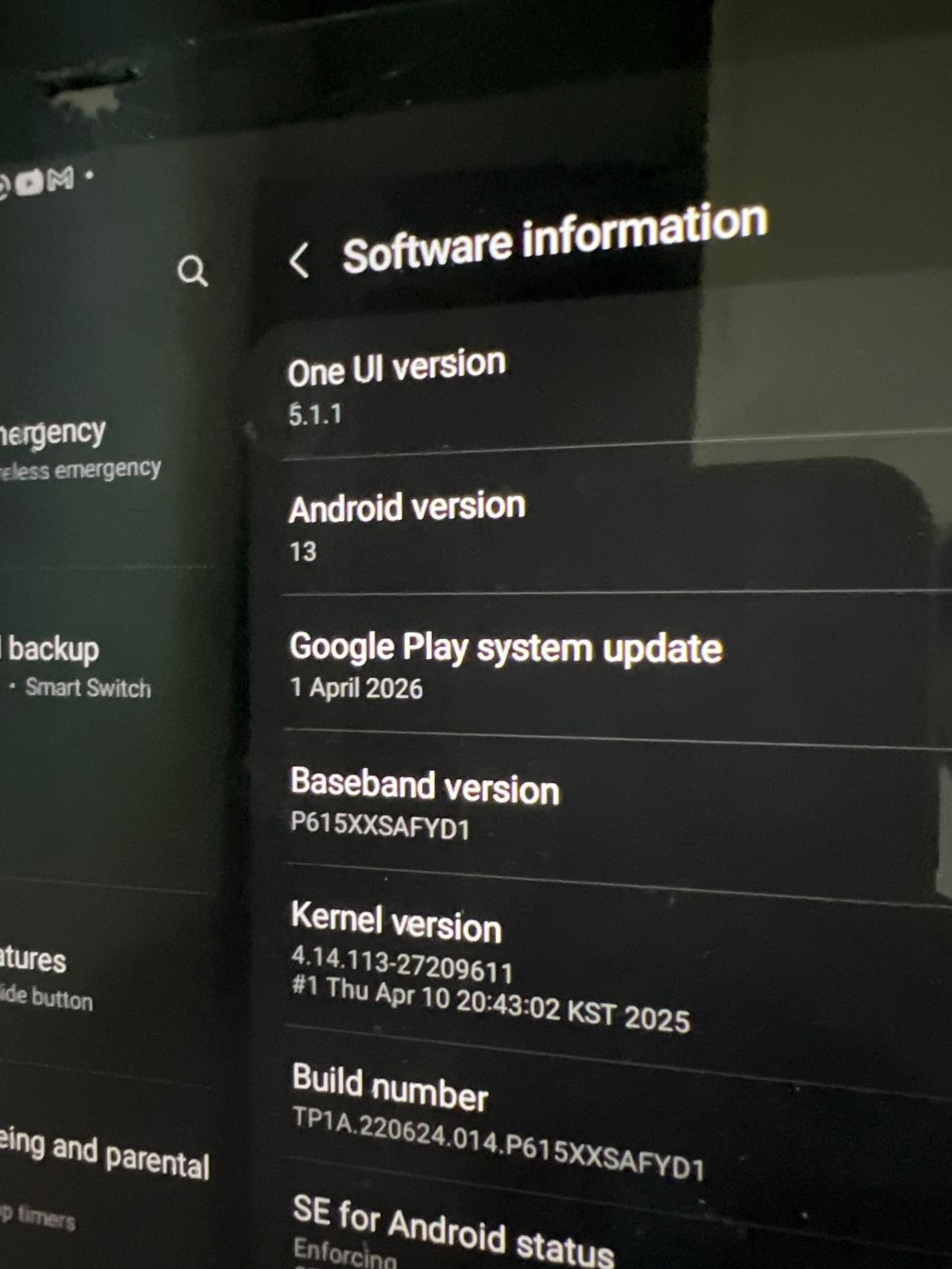 Samsung Tablet PC: Samsung Galaxy Tab S6 Lite 64GB - LTE – Difettoso da Mülligen venduto da vagos85 2