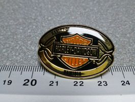 PIN PINS HARLEY DAVIDSON HOG ABZEICHEN CHAPTER