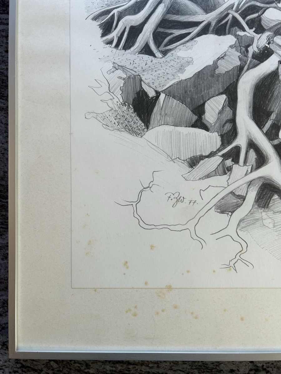 Tableaux: Fritz Zwicky, Wurzelstock – D'occasion à Trimmis par Maripet 4