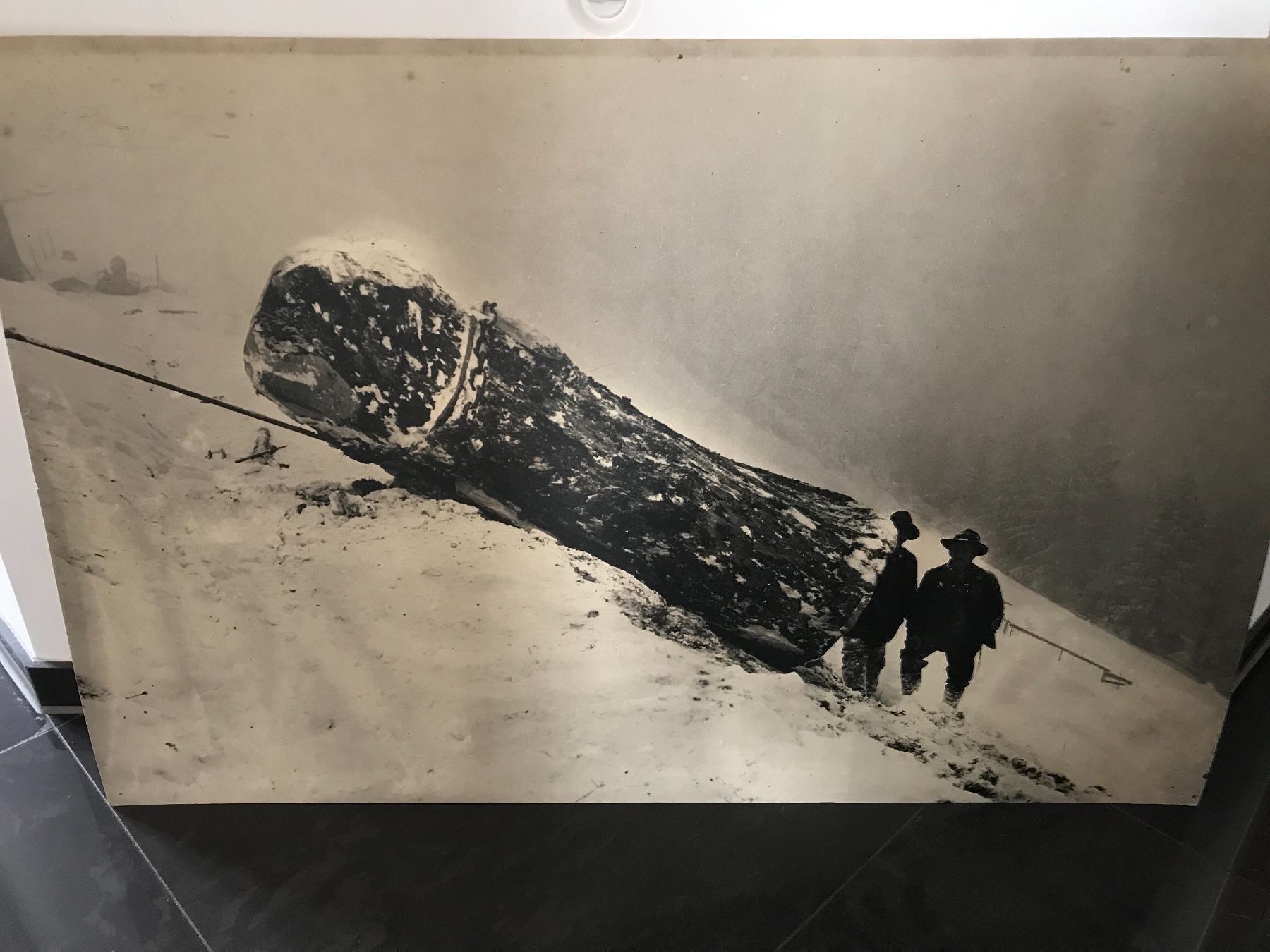 Traktoren: Hürlimann Bild kein Rapid Aebi Bührer – Gebraucht aus Balterswil von Jeko1967 1