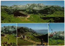 Wildhaus - 4 Bild AK