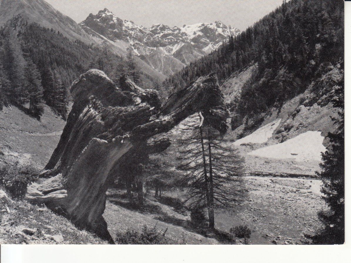 Cartoline postali: Val Trupchum ca. 1970 – Usato da Bürglen TG venduto da StampGraf