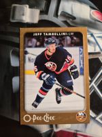 NHL Jeff Tambellini New York Islanders