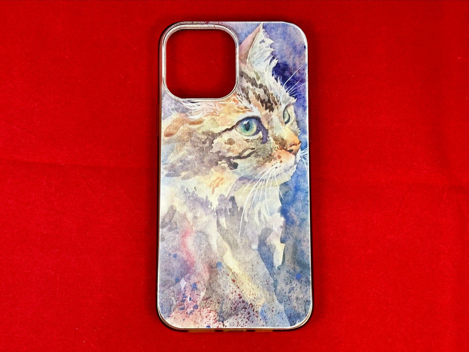 Apple Covers & Schutzfolien: Cover für iPhone 13 Pro Max – Gebraucht aus Egolzwil von Bubbly76 1
