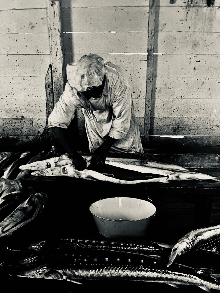 Foto & Immagini: Fulvio Roiter Photograph, Iran 1964 – Nuovo (secondo la descrizione) da Gockhausen venduto da geo_ydf6