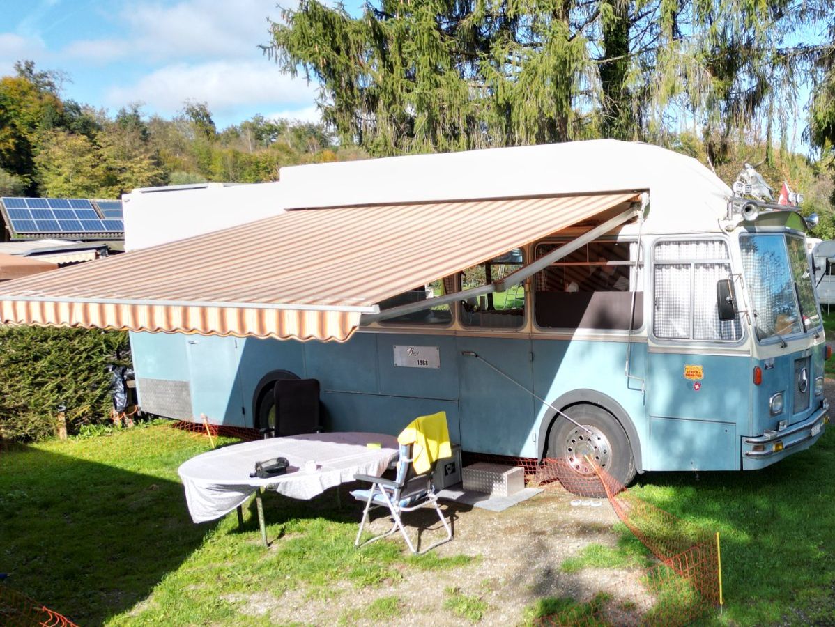Mercedes Bus Oldtimer Camper - Traum für Vintage Camper Fans (Gebraucht ...