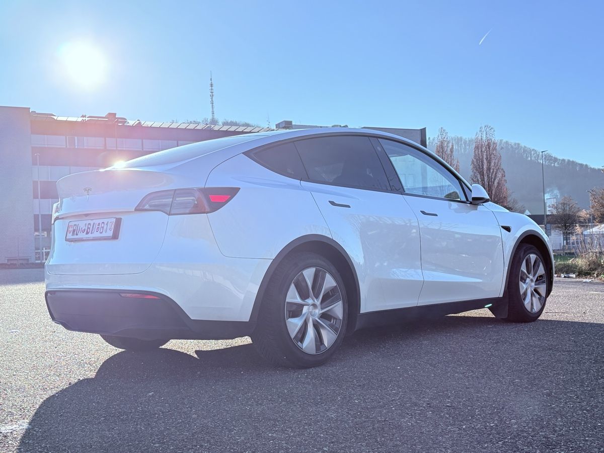 Tesla Automobili: TESLA Model Y RWD – Usato da Sissach venduto da Diegobm 3
