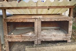 Vom Schreiner massgefertigter robuster Meerschweinchenstall