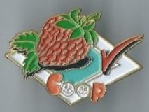 Placchette & Badge: Coop PIN – Usato da Zürich venduto da t24_de
