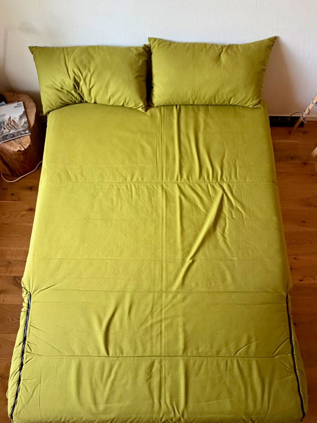 Sofas: Ligne roset Multi Stoff Dreisitzer grün – Gebraucht aus Seewis Dorf von cardioking 2