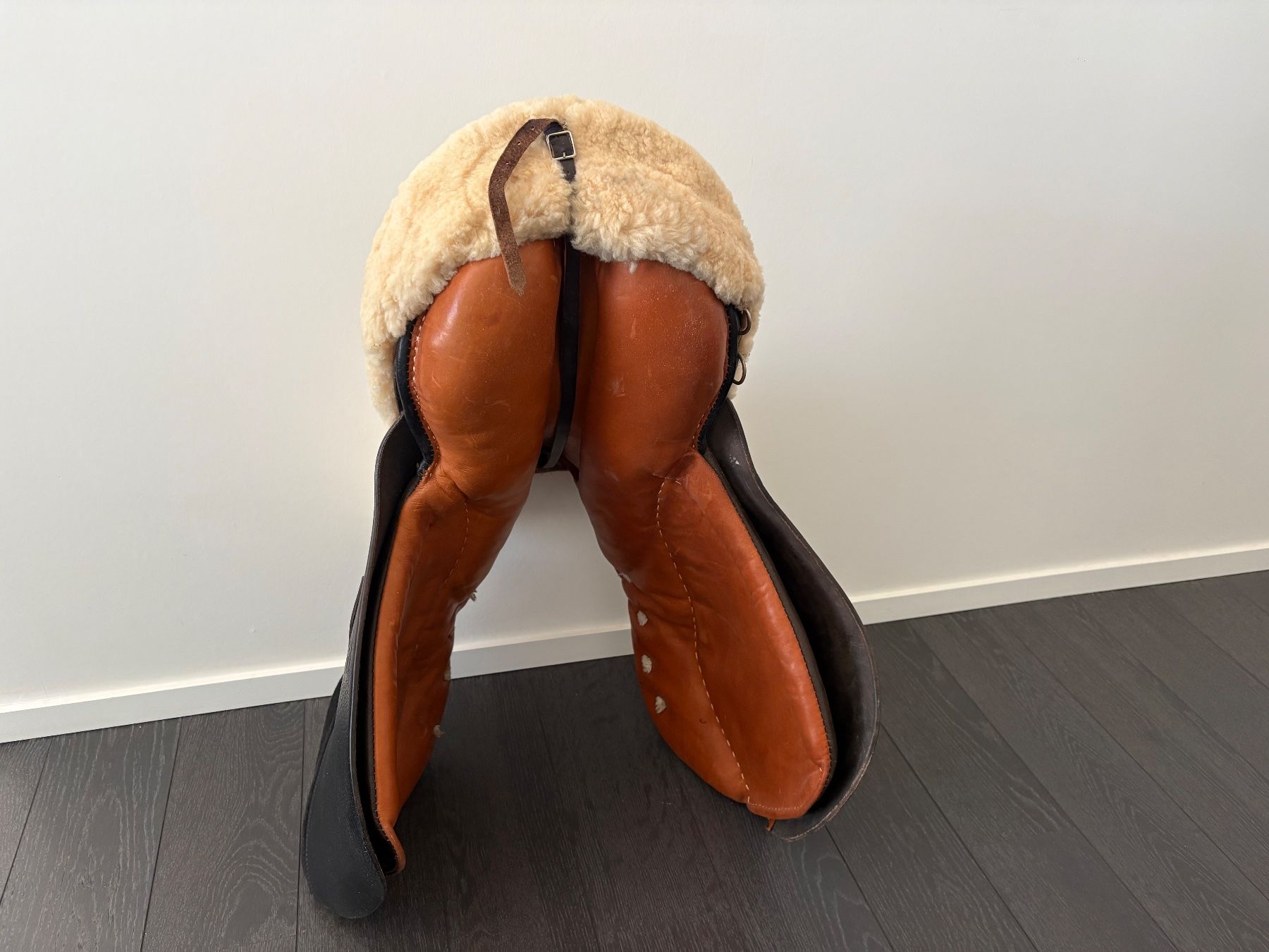 Selle & Accessori: Selle d’équitation usage mixte Pandur-S – Usato da Grand-Lancy venduto da lau_l7wv 4