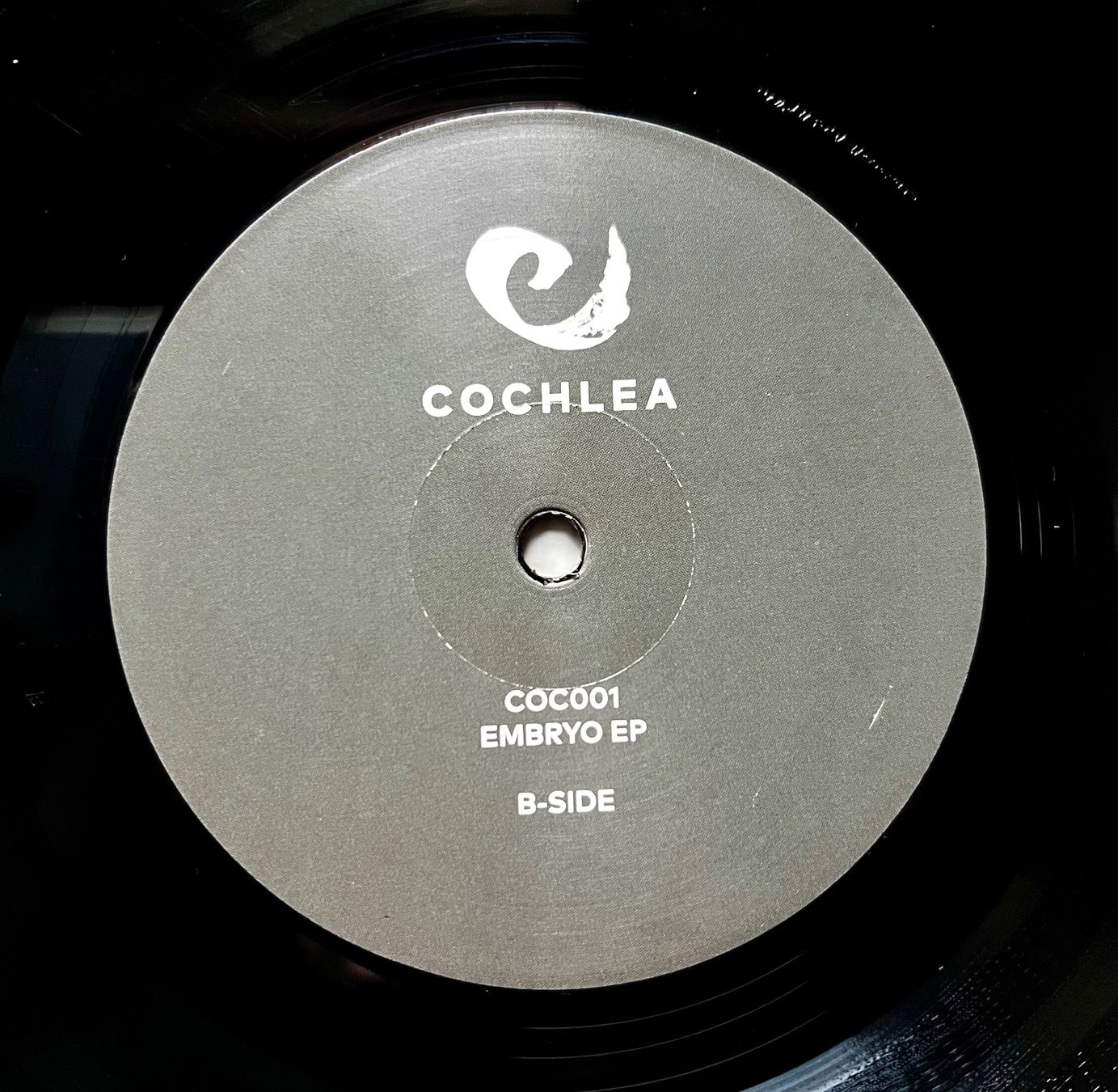 Dischi in vinile: LP Deep Techno Denis Rodd – Embryo LP GEWASCHEN – Usato da Unterseen venduto da vinylmore 2