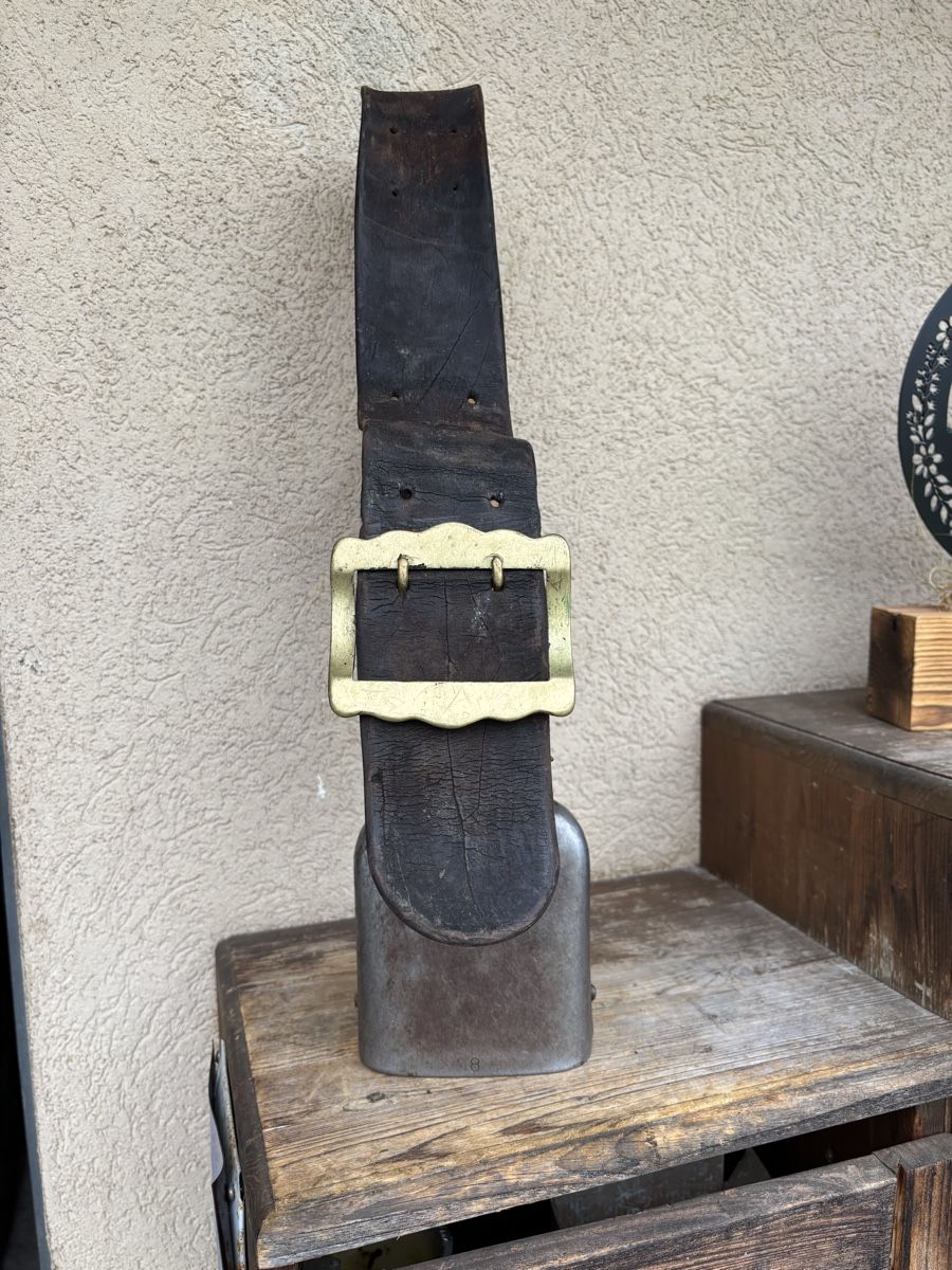 Campanacci mucche: Zurfluh Bisse NR 8 – Usato da Schangnau venduto da Roseggli82