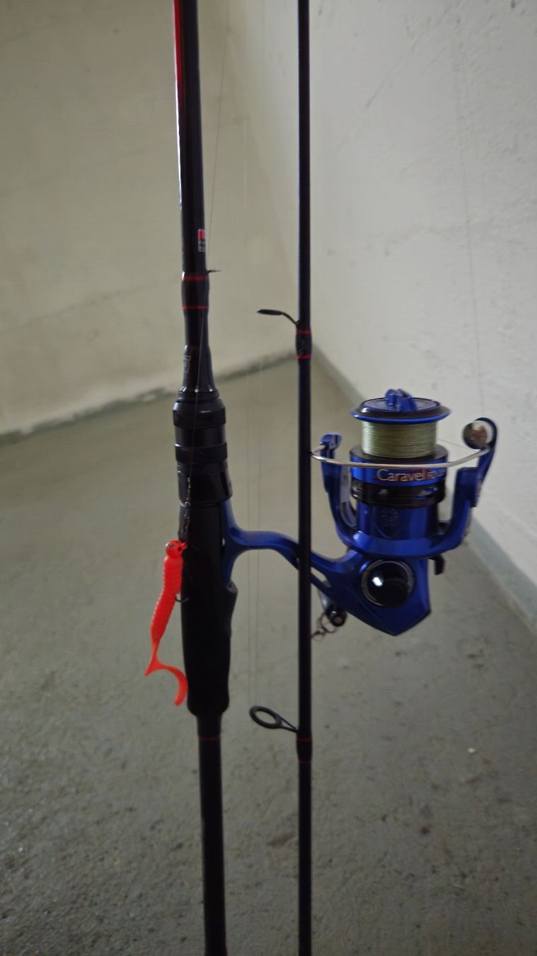 Canne da pesca: die Spinnrute – Usato da Frauenfeld venduto da exi_8dxy 2