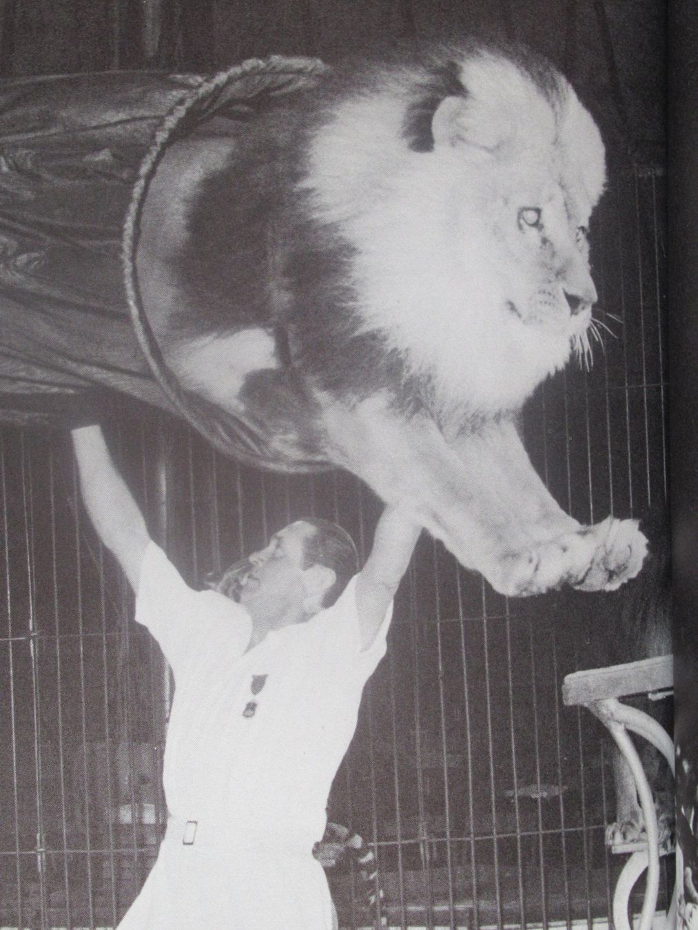 Bücher: CIRCUS KNIE - DIE GESCHICHTE EINER CIRCUS DYNASTIE – Gebraucht aus Moosseedorf von haro01 3