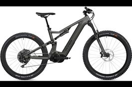 NEUES E-BIKE FLYER 25KM/H | CARBON | 95NM & 630WH